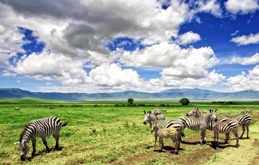 Tarangire And Ngorongoro Crater Camping 3 Days