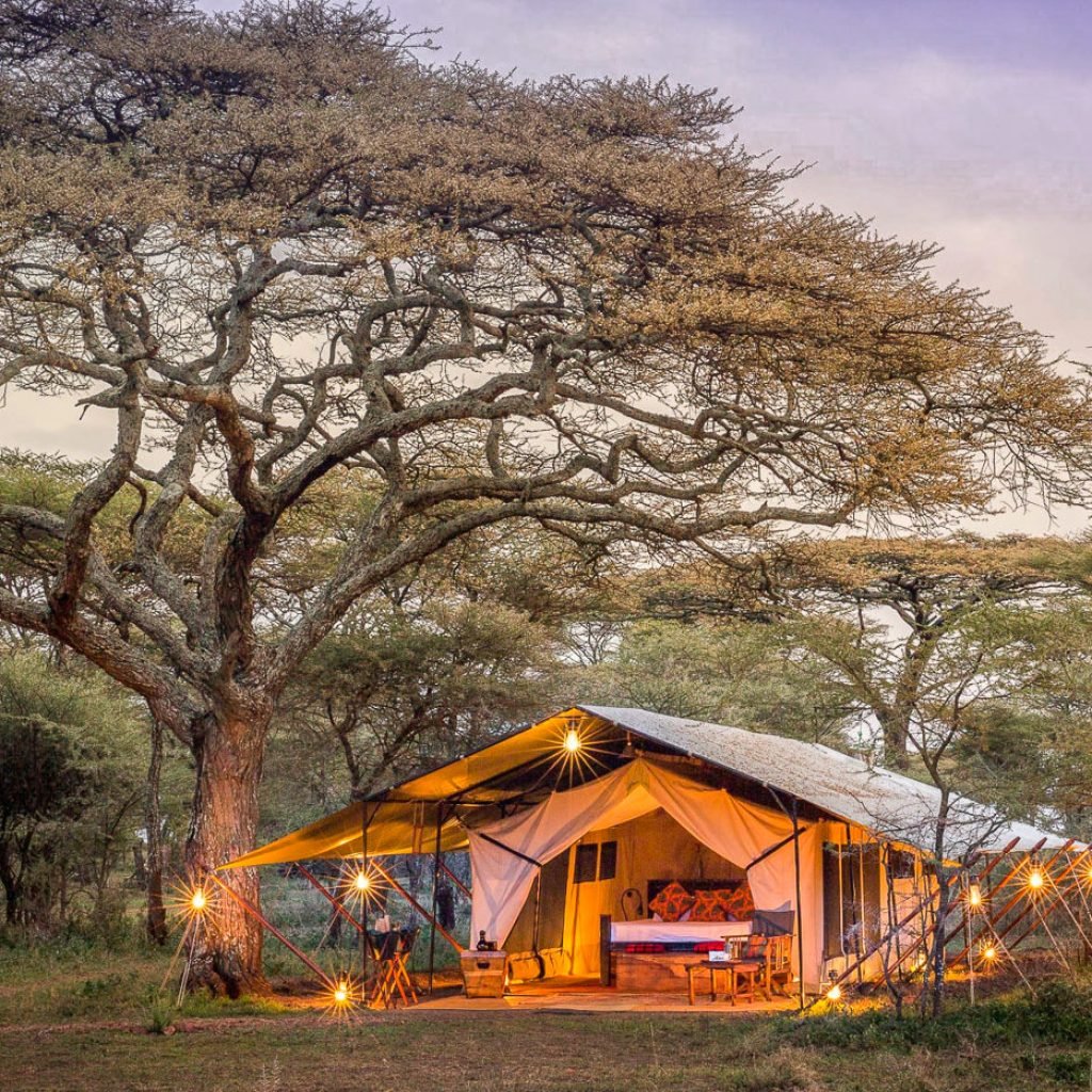 Luxury Lodge Safari