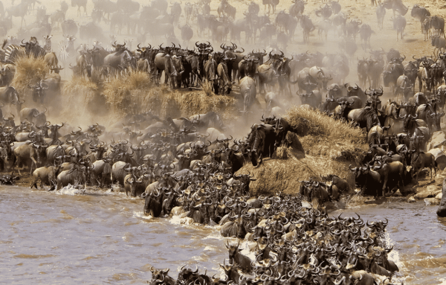 Serengeti Migration Safari 6 Days