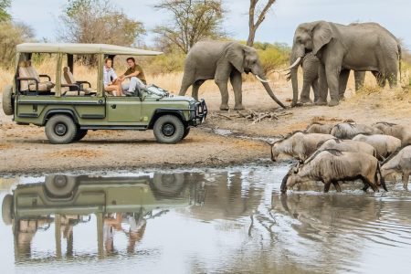 Tours and Safaris