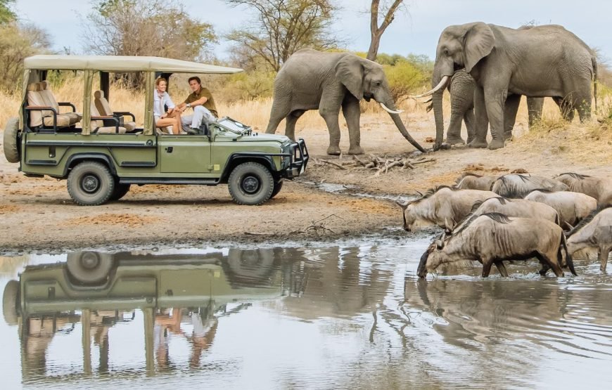 Manyara National Park