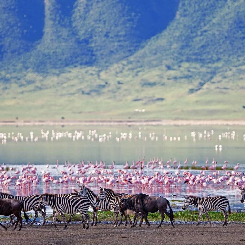 Ngorongoro Conservation Area