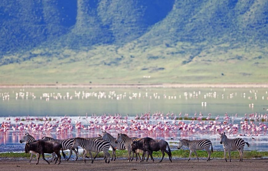 Ngorongoro Conservation Area