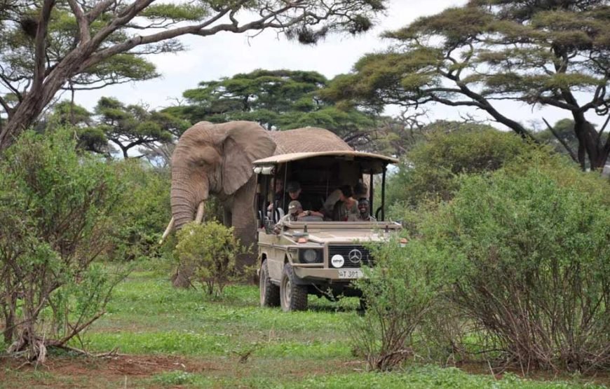 Arusha National Park