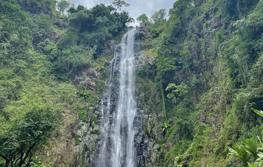 Materuni Waterfall and Coffee Plantation