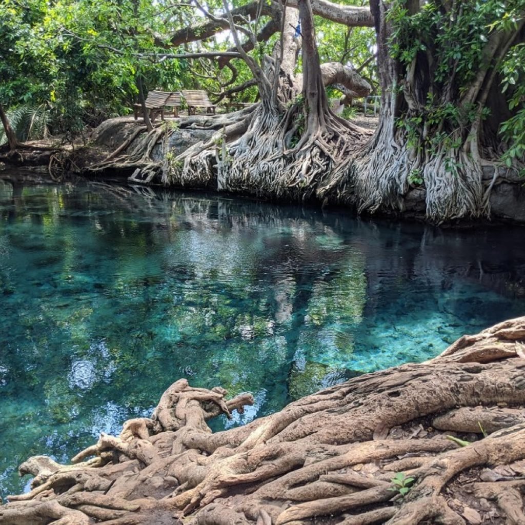 Kikuletwa (Chemka) Hot Springs