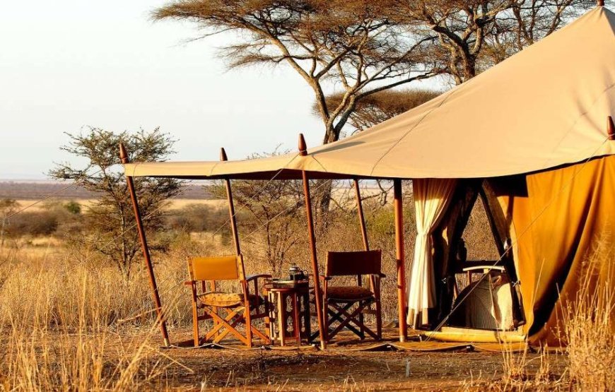 Tented Lodge 6 Days