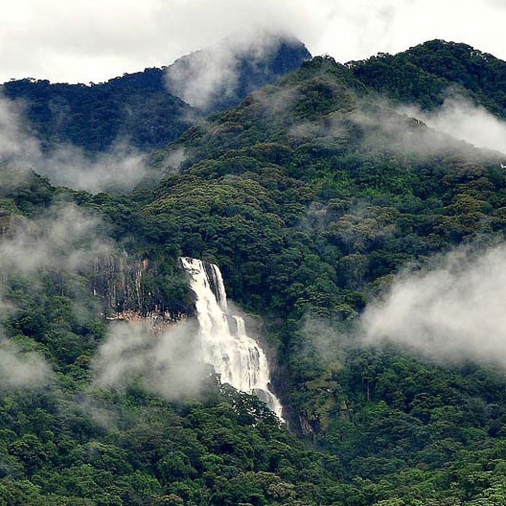 Udzungwa Hiking