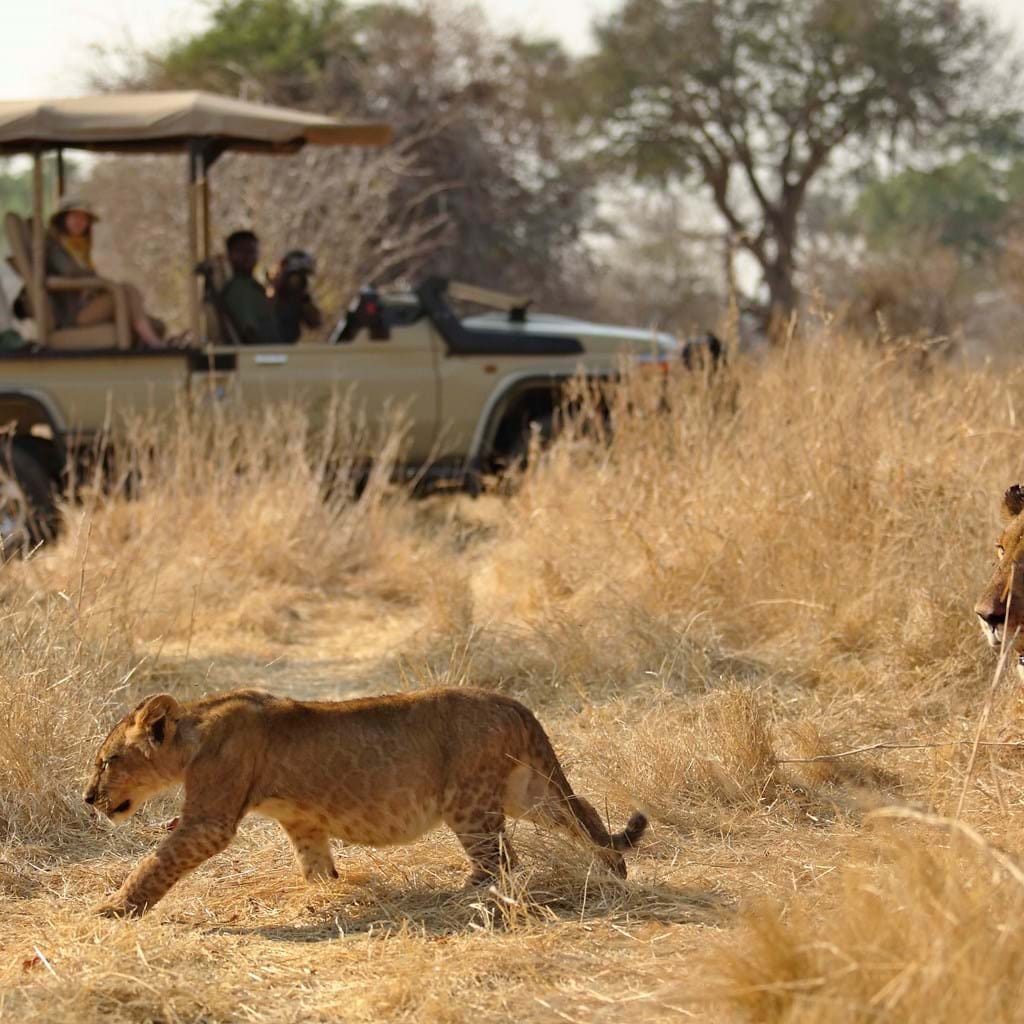Ruaha National Park