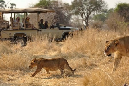 Tours and Safaris