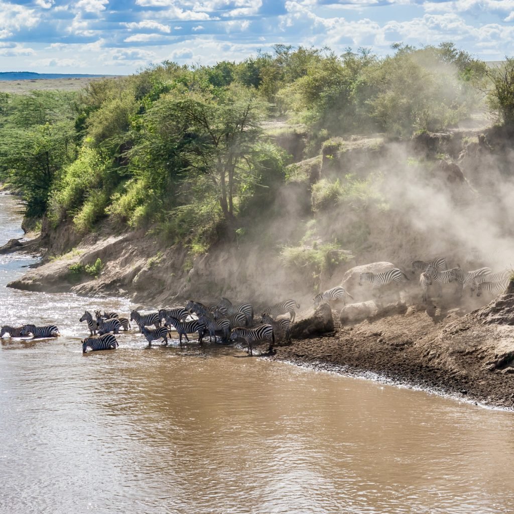 Serengeti Migration Tour