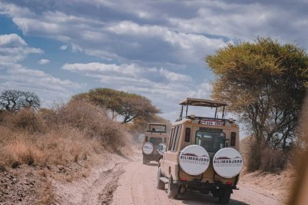 Tours and Safaris