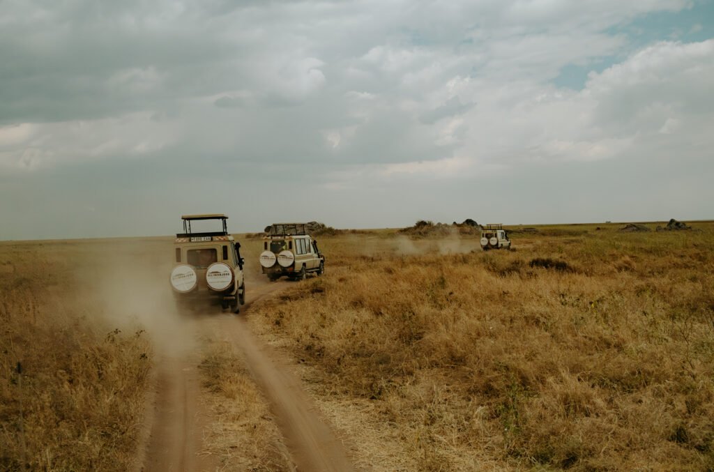 Tanzania Safari Experience