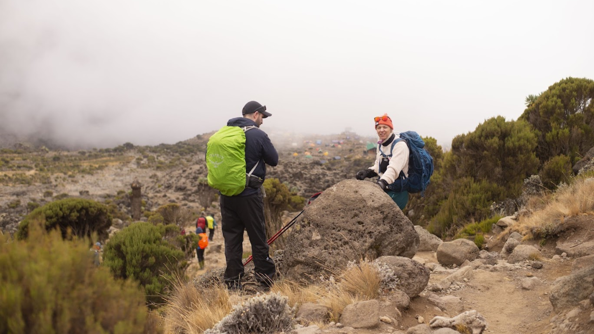 Kilimanjaro