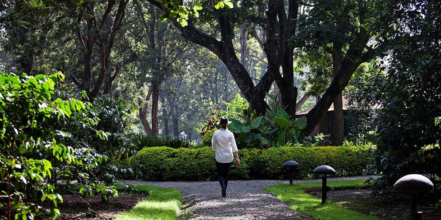 Arusha Coffee lodge outside