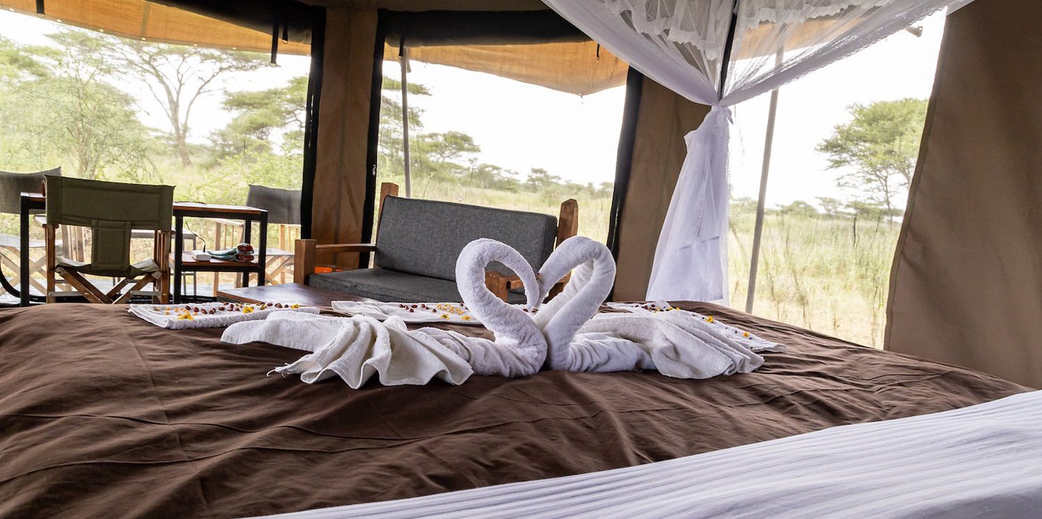 Canopy Migration Camp