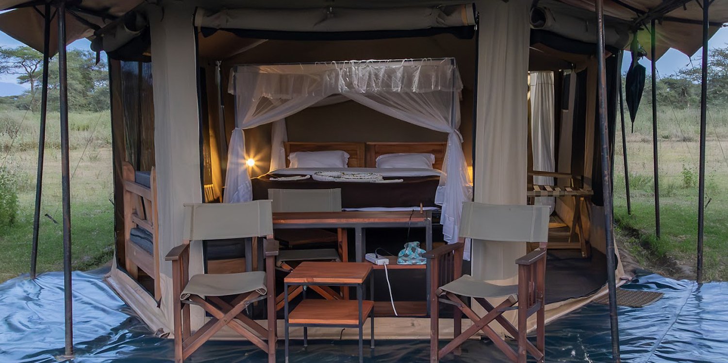 Canopy Migration Camp tent