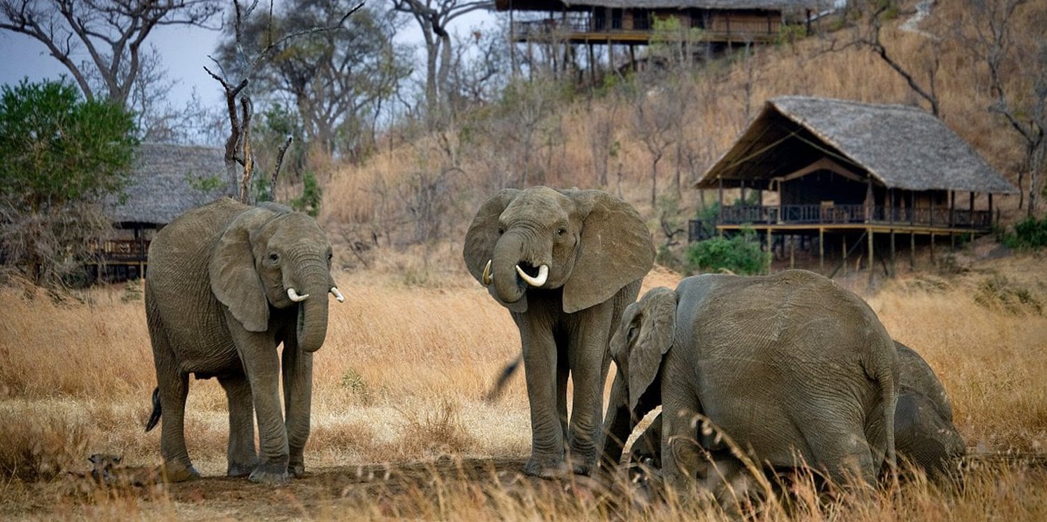 Stanley's Kopje Camp