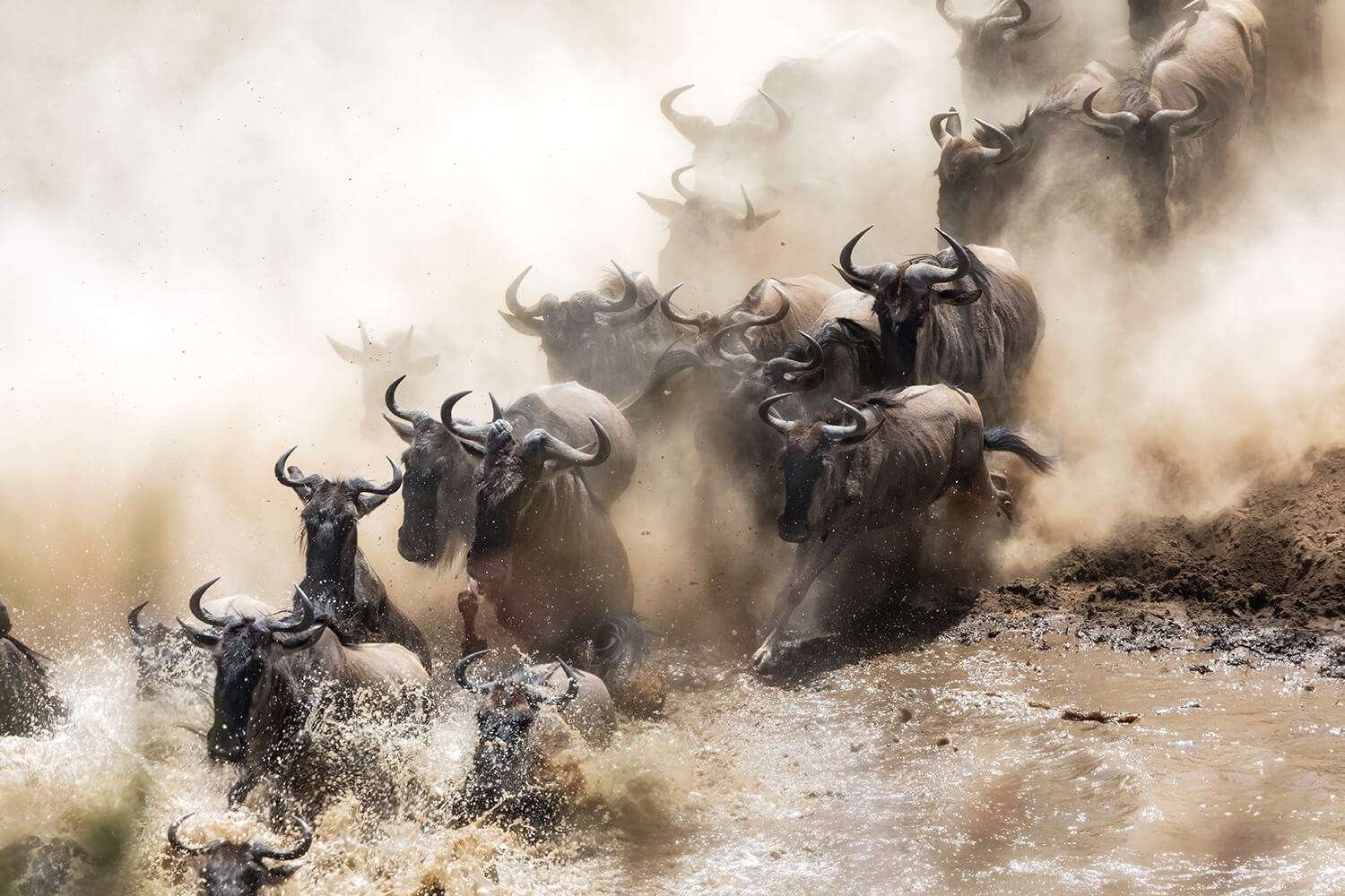 Great Migration river crossing